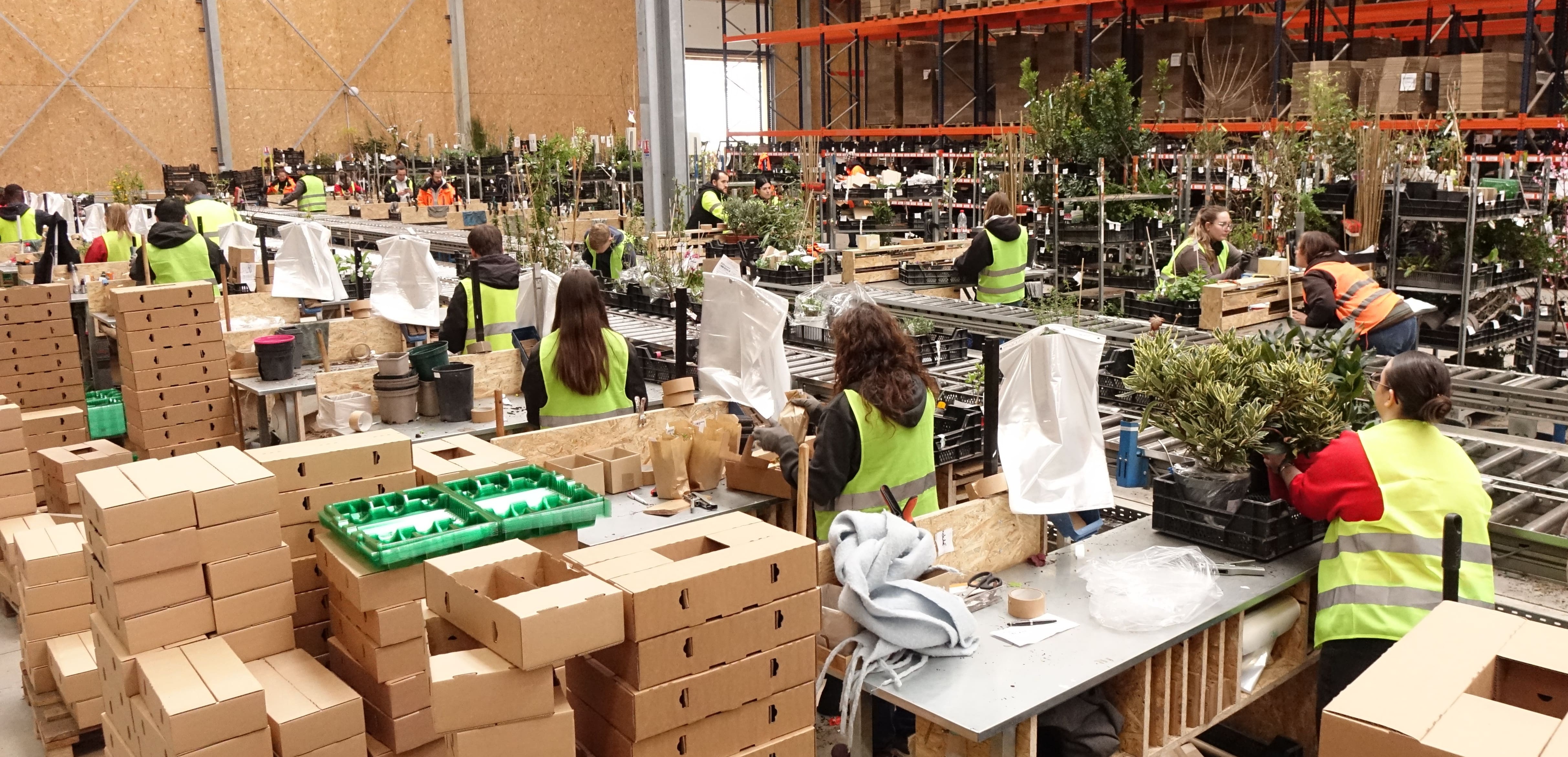 Prémesques : Nord Capital Partenaires entre au capital du groupe Colibri-Promesses de Fleurs