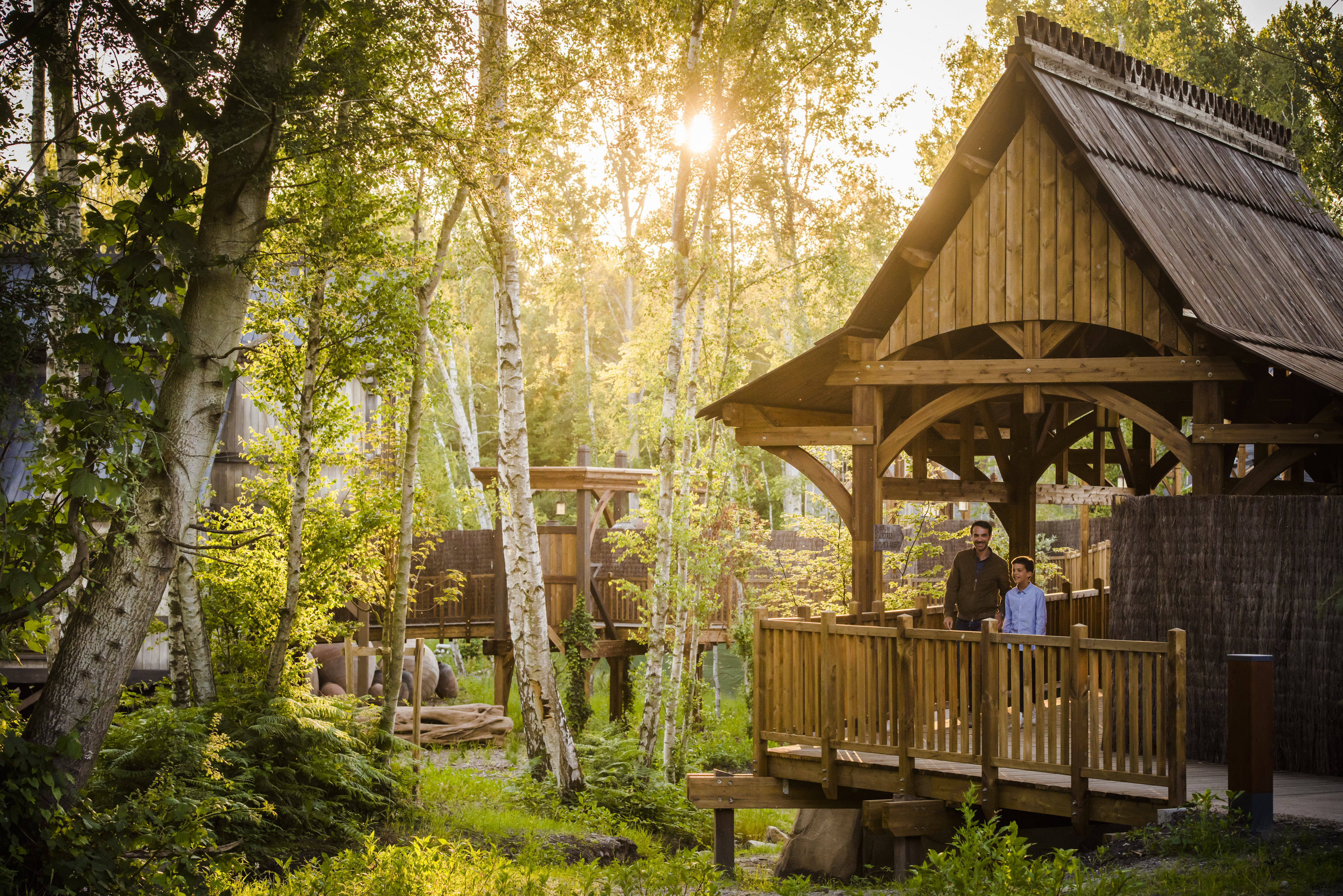 Le Parc Astérix s’engage pour restaurer la forêt de Chantilly