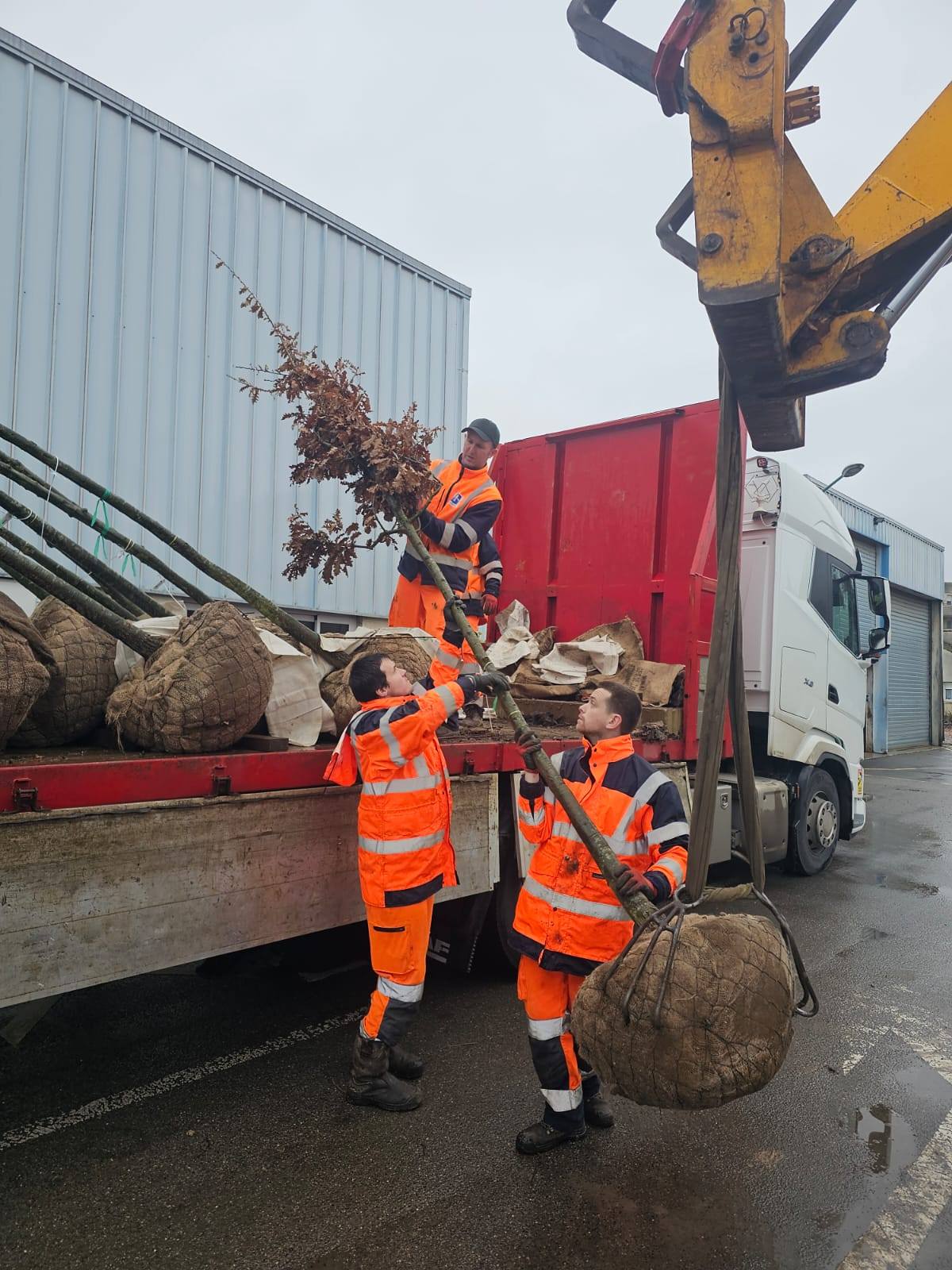 Soissons : 108 arbres plantés pour un espace public plus vert et attractif