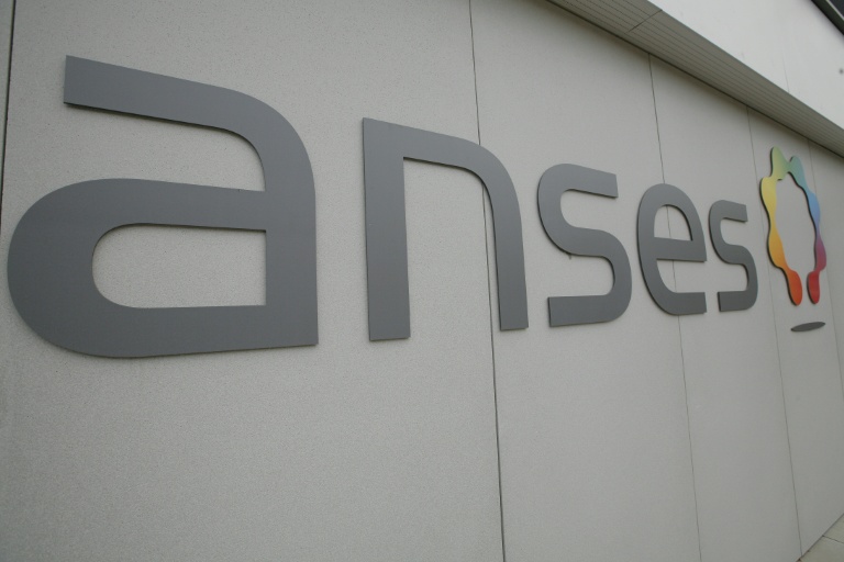 Exposition au cadmium: l'alimentation cause principale, priorité à la décontamination des sols agricoles