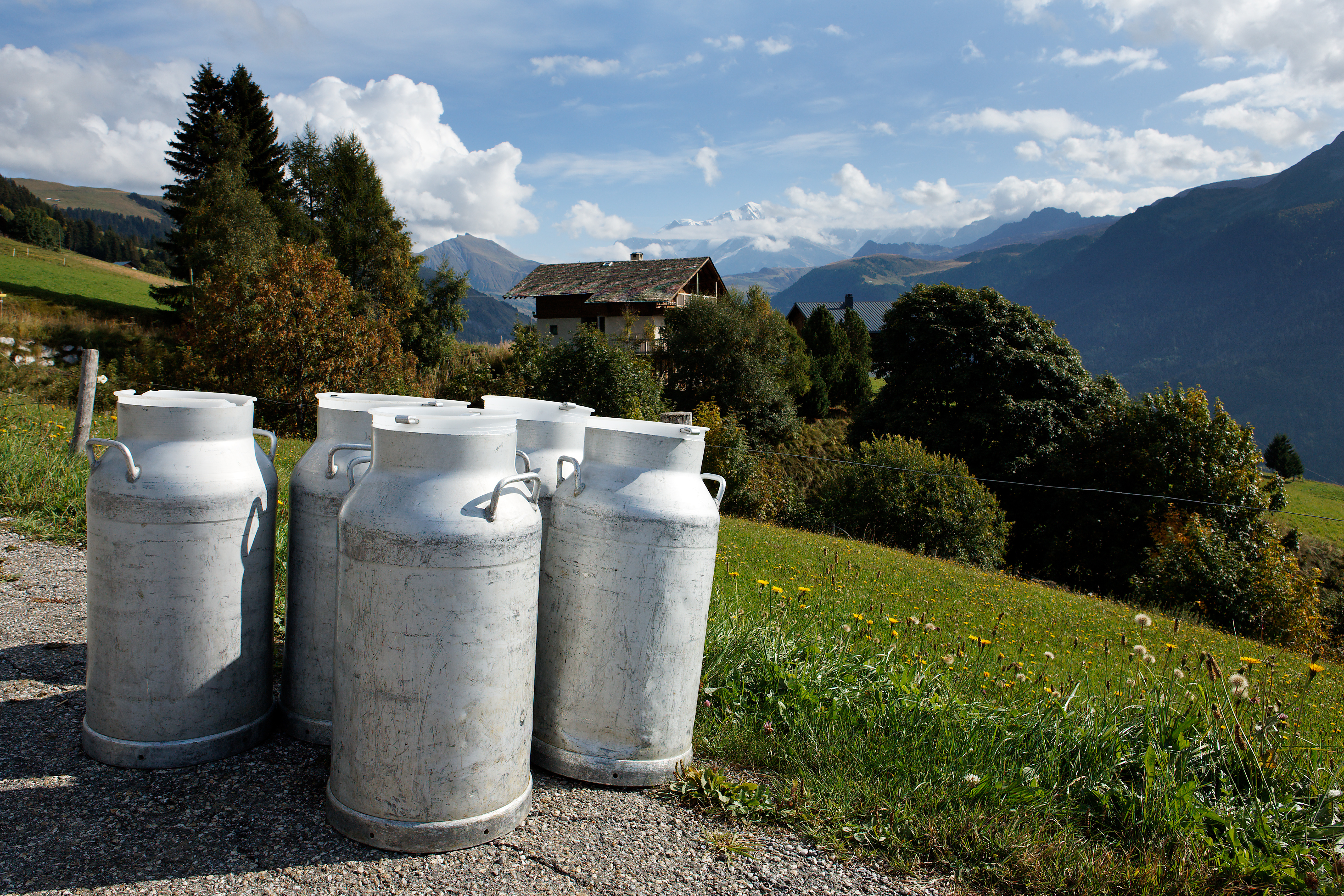 Saône-et-Loire : inquiétudes autour d’une baisse annoncée du prix du lait