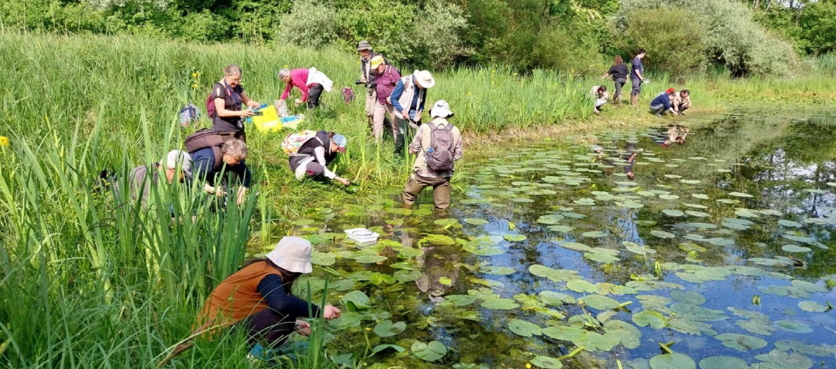 La Saône-et-Loire au cœur d’un programme régional pour mieux connaître la biodiversité