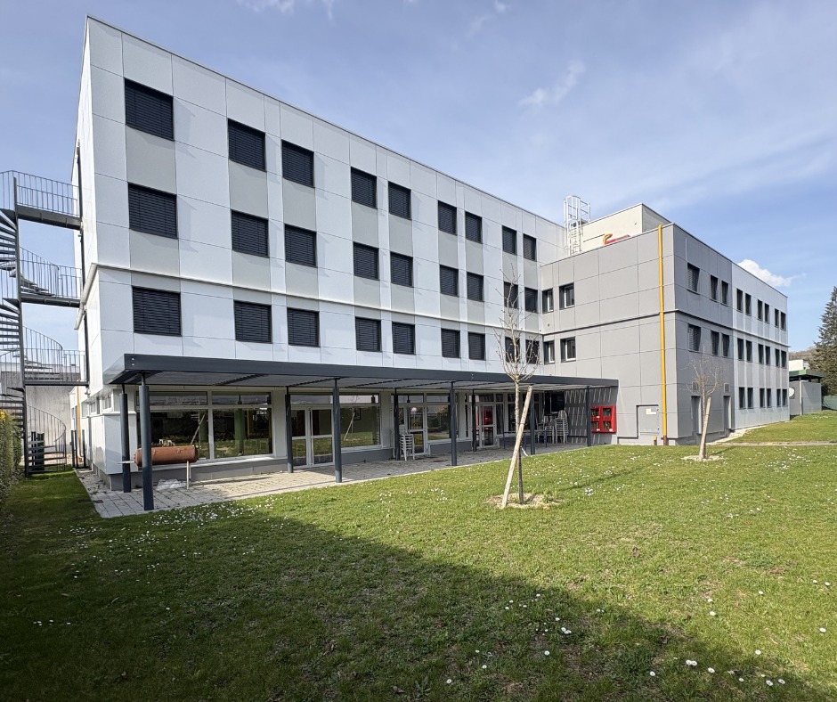 BTS MCO en alternance : formation au commerce et à l’emploi