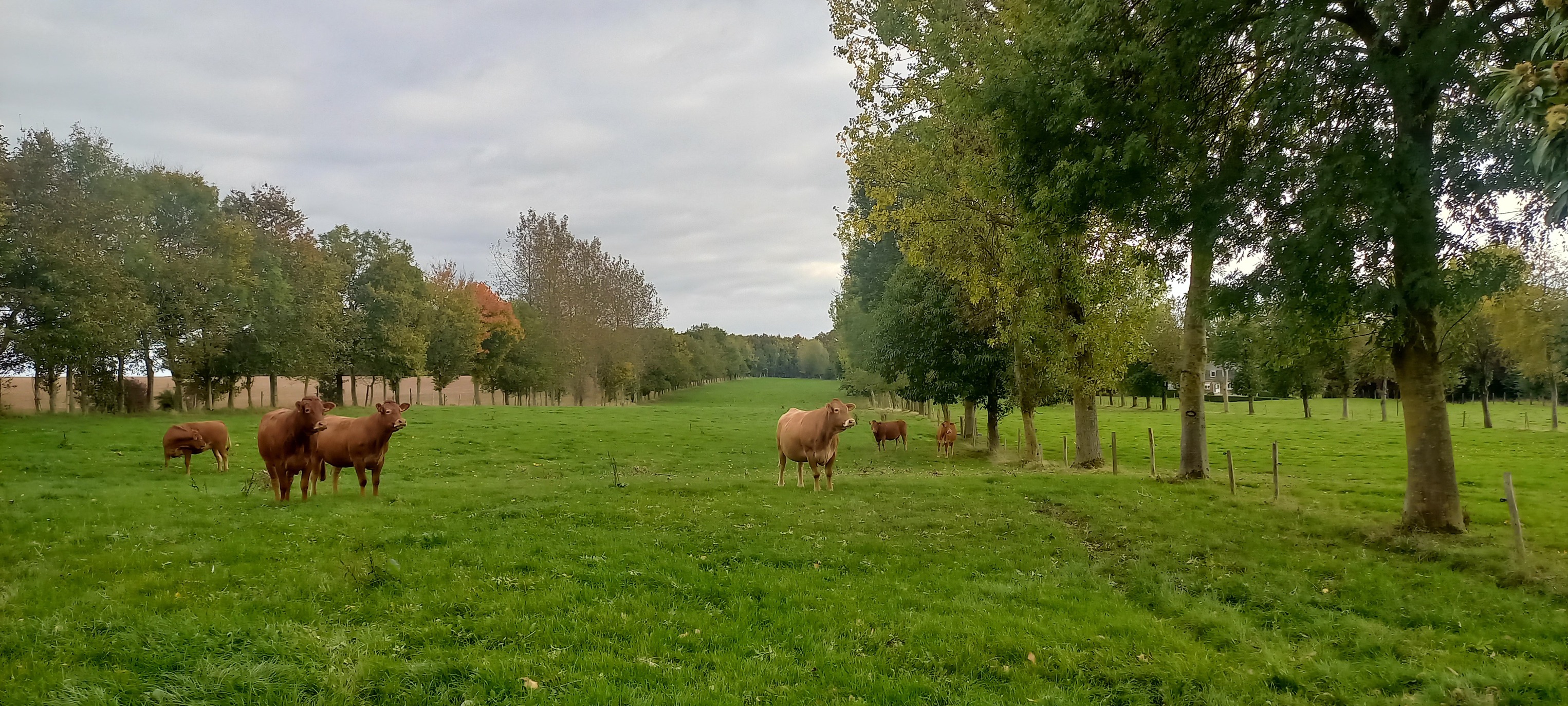 Meuse : un concours agroécologique pour valoriser la performance économique des exploitations d’élevage