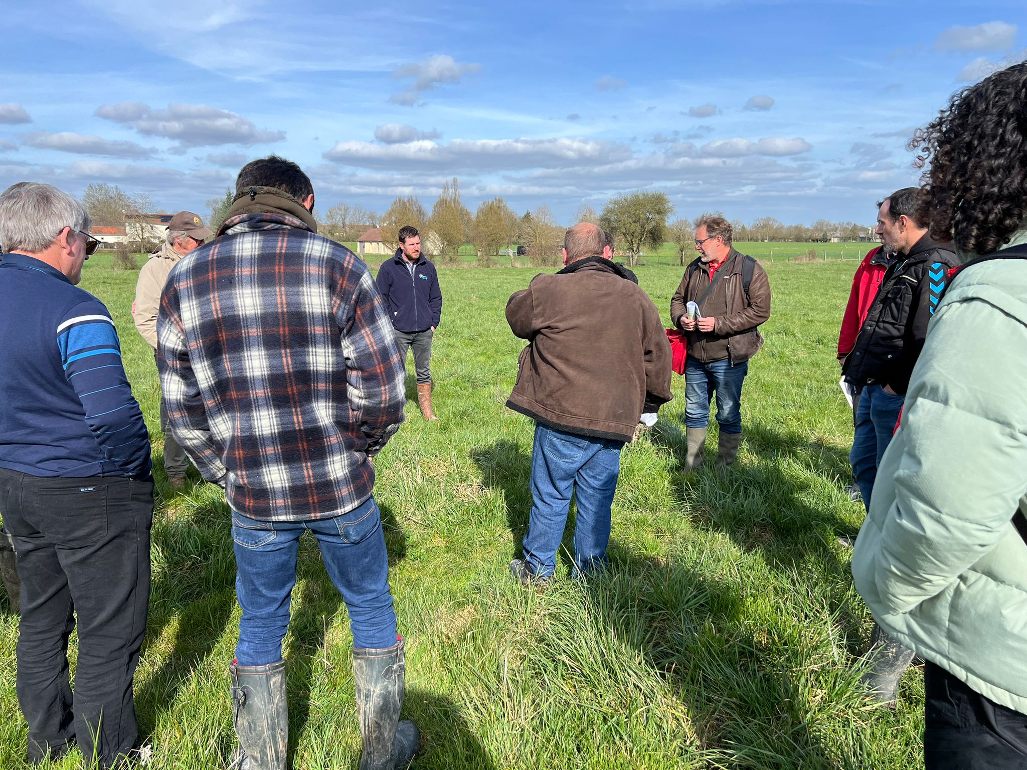 Élevage : le pâturage au service de la rentabilité