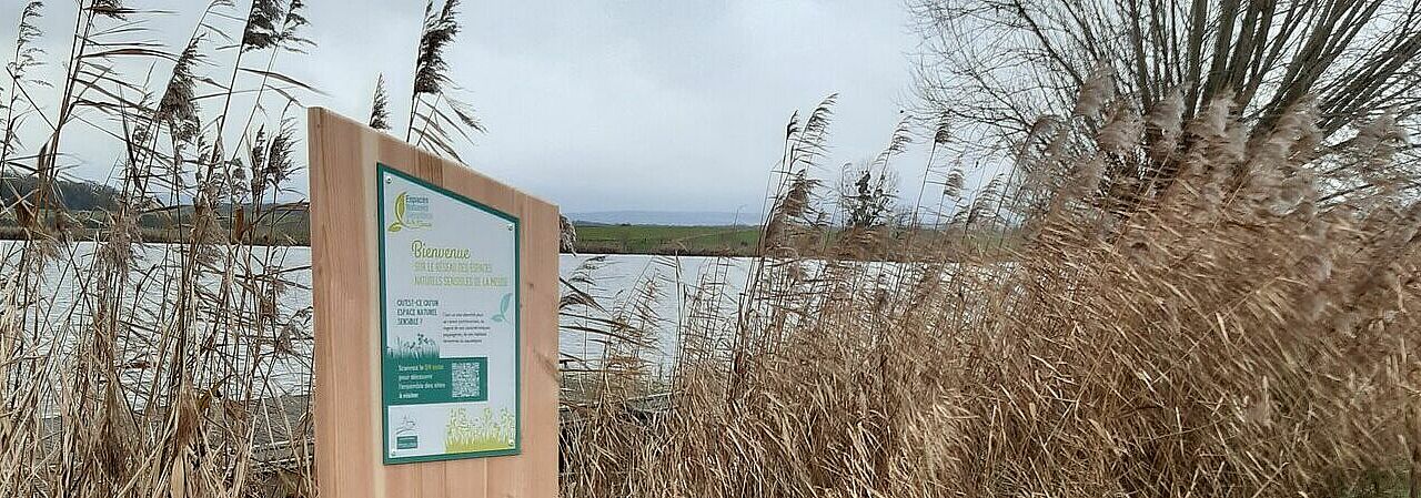 Le Marais de Chaumont-devant-Damvillers, levier de tourisme nature en Lorraine