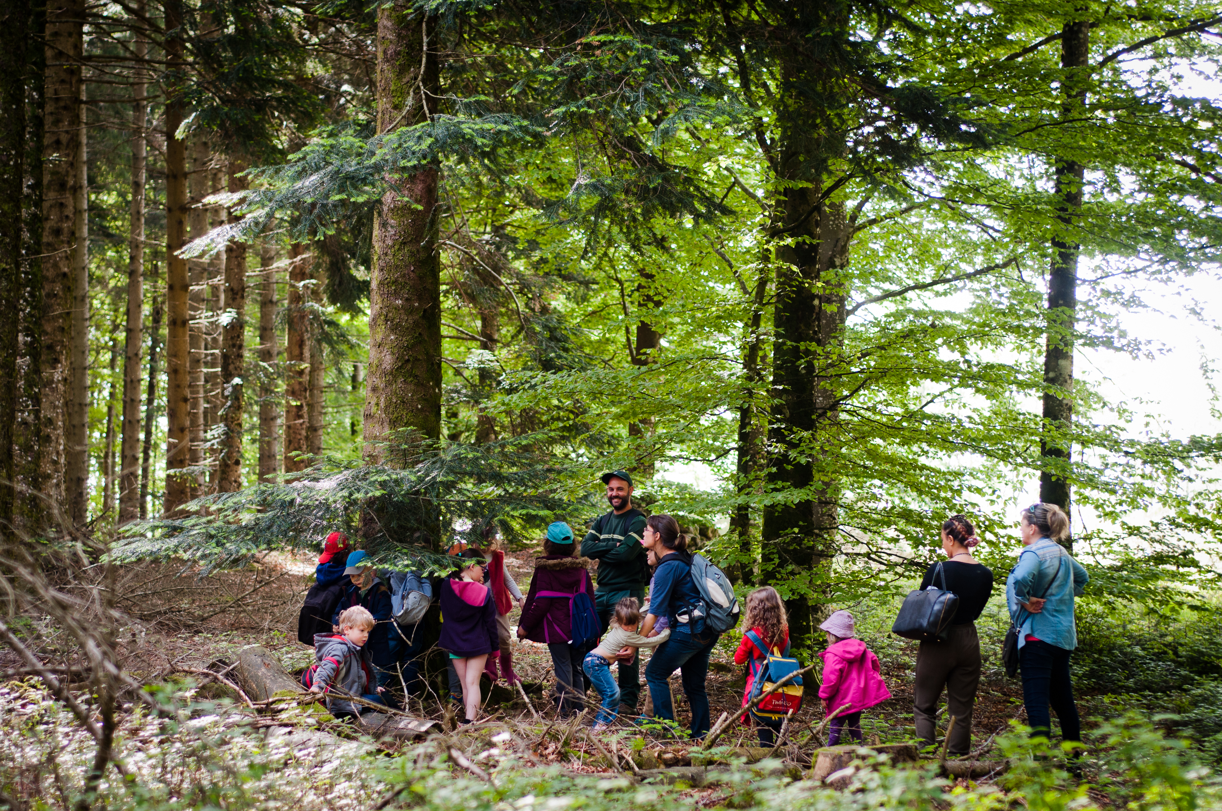 Moselle : une semaine pour explorer la forêt et ses métiers