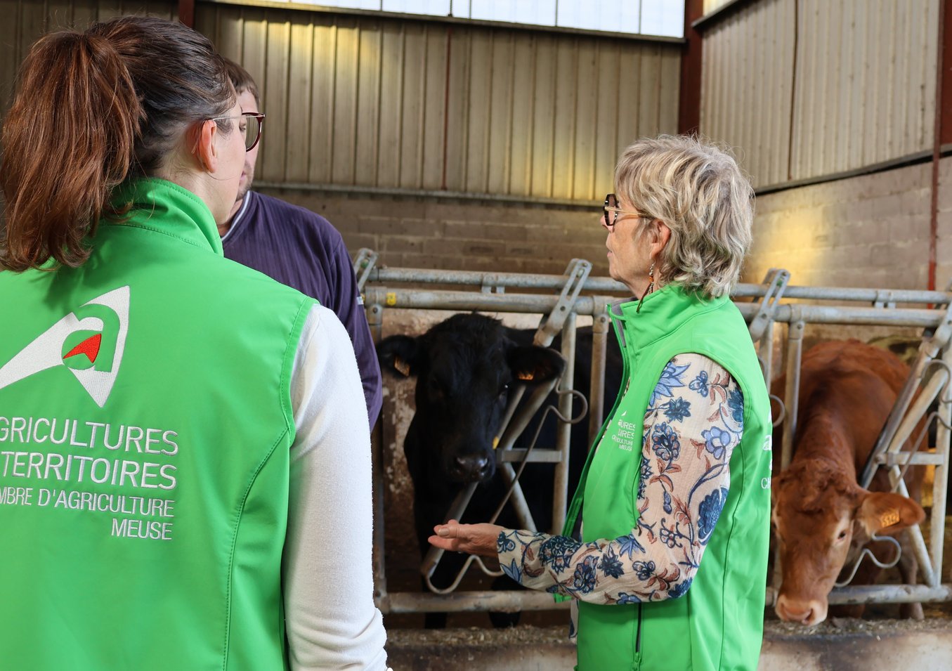 Sécurisation des troupeaux et aides publiques au cœur des enjeux économiques