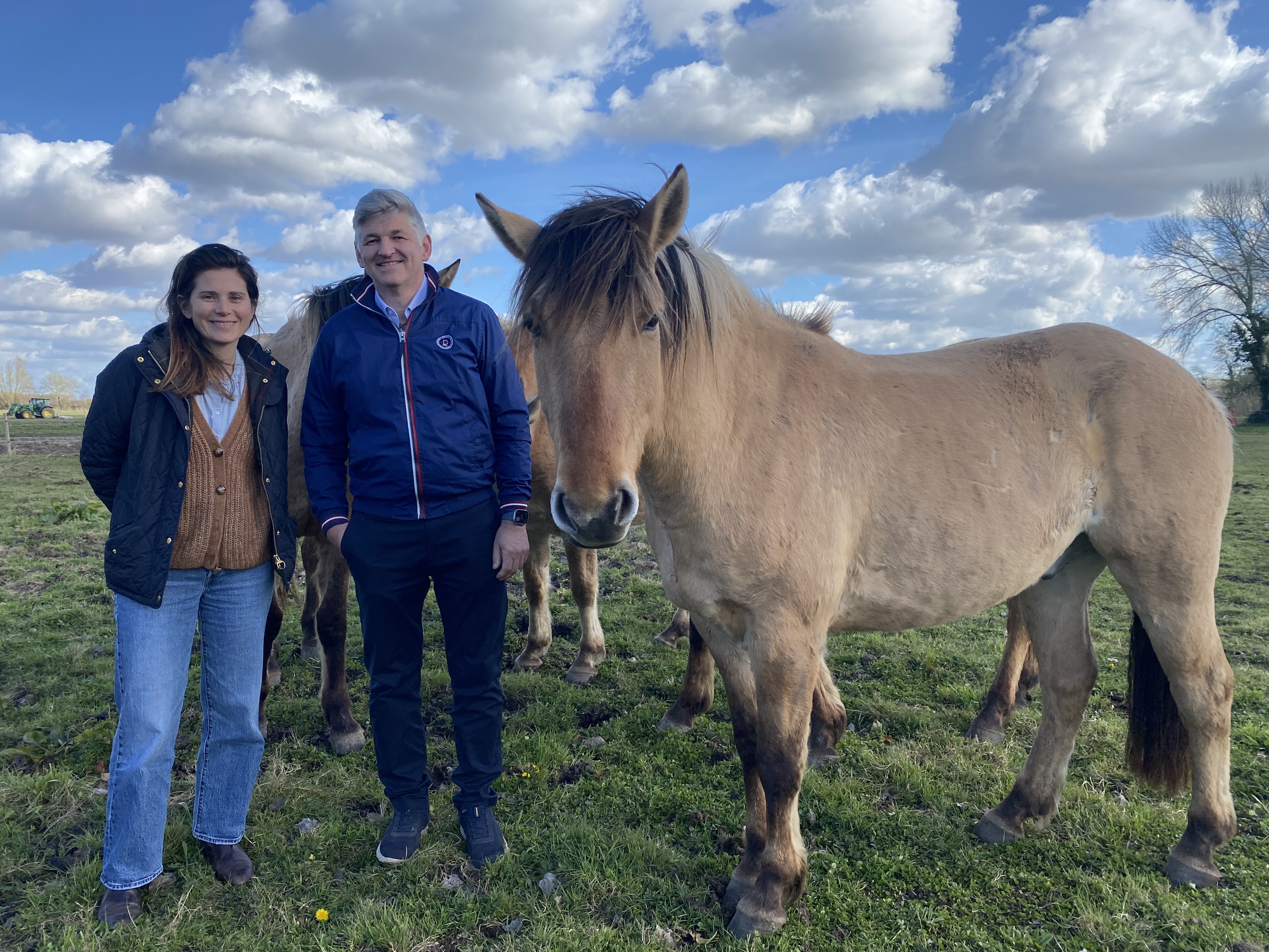 En baie de Somme, des séminaires au milieu des chevaux
