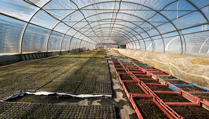 Mâcon : une passerelle vers l’emploi au cœur des Jardins de Cocagne