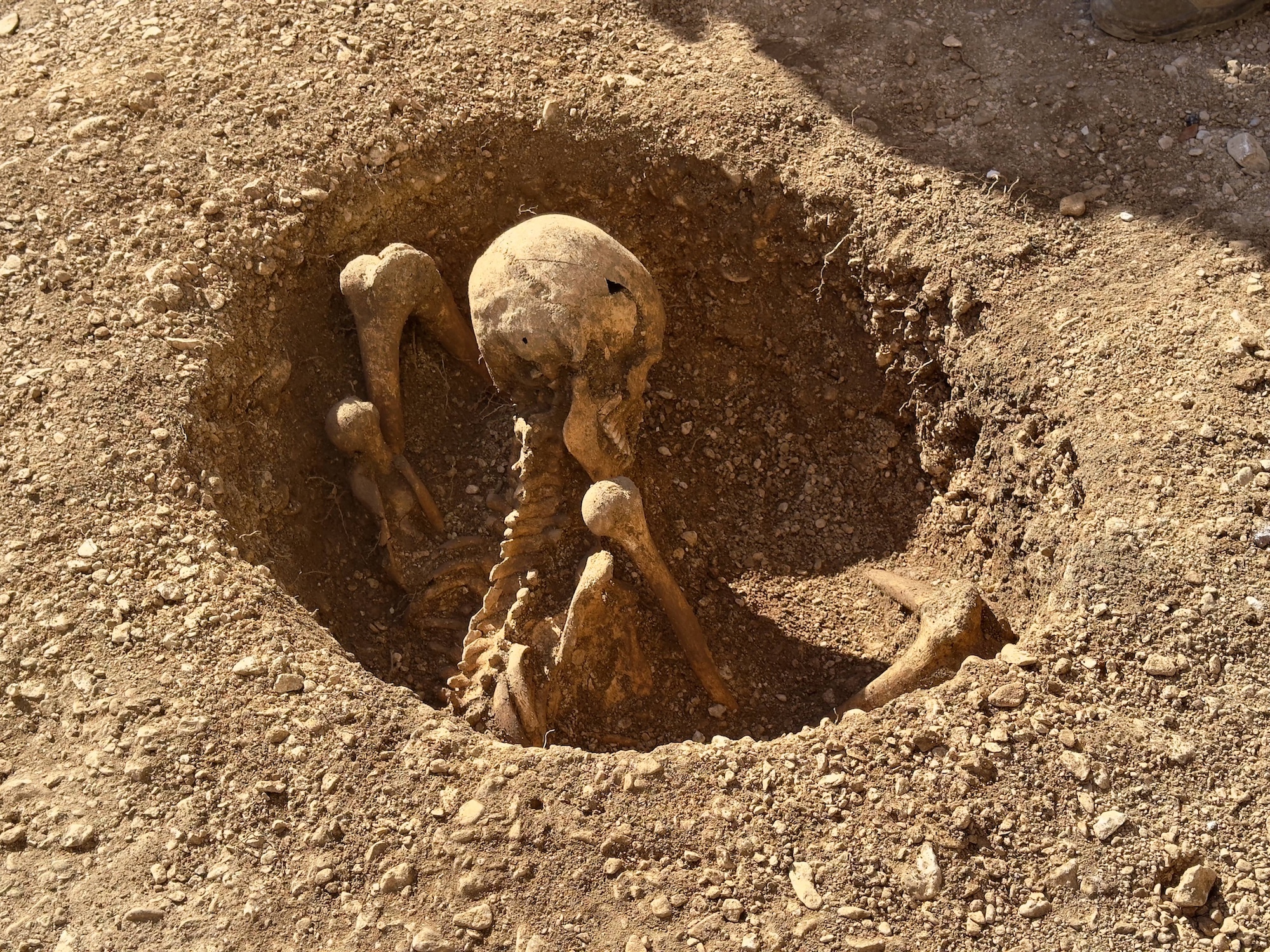 Les fouilles révèlent l’ampleur de l'agglomération gauloise de Divio, alias Dijon