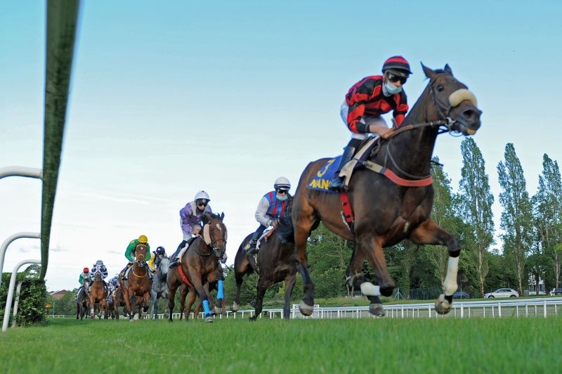 Meurthe-et-Moselle : l'agriculture locale séduit 3 000 visiteurs à l'Hippodrome de Nancy