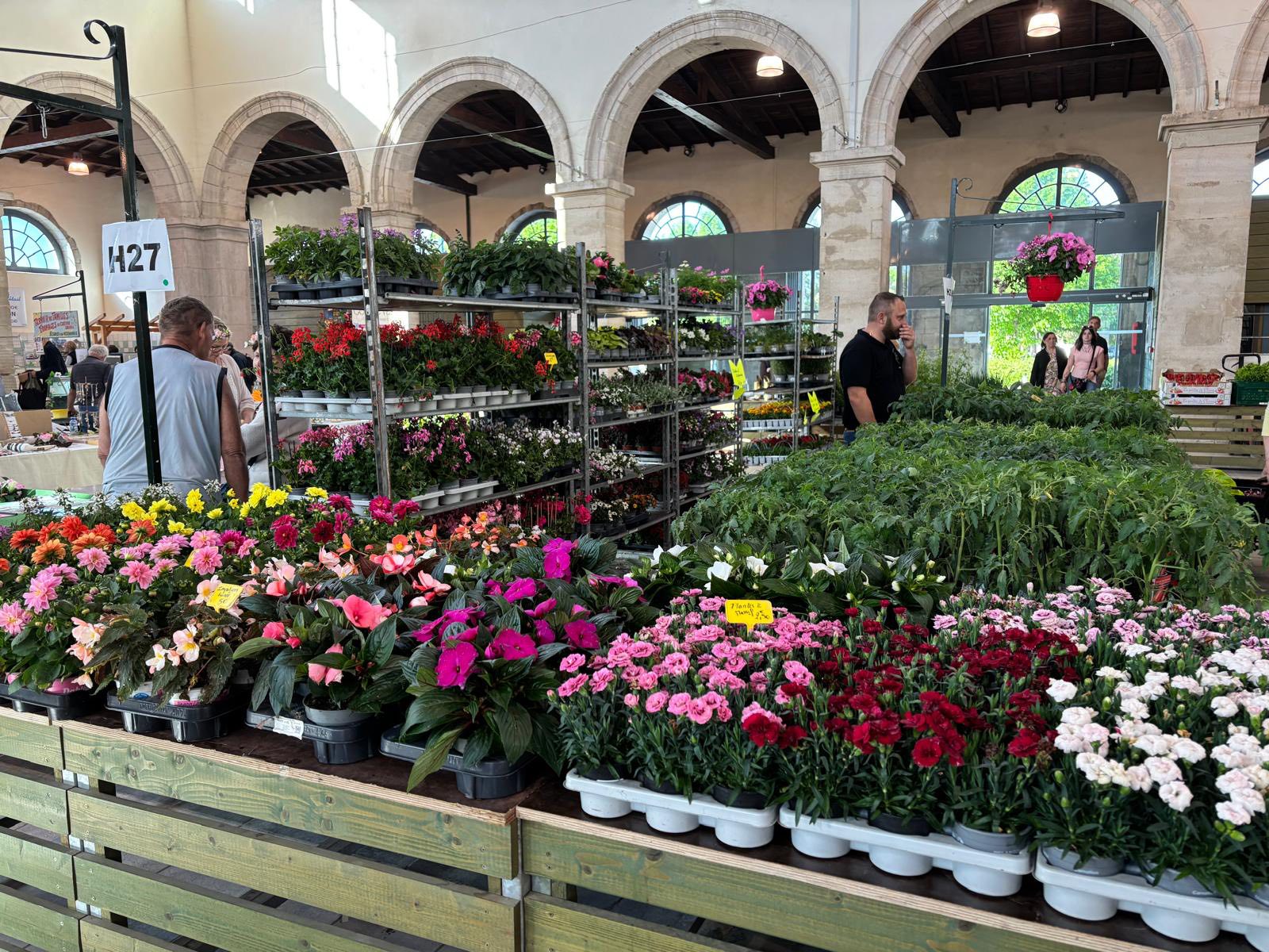 Verdun : les marchés aux fleurs de printemps mobilisent 60 exposants