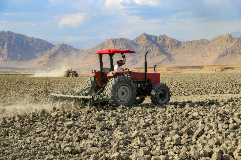 La recrudescence des chaleurs extrêmes pousse l'agriculture mondiale 