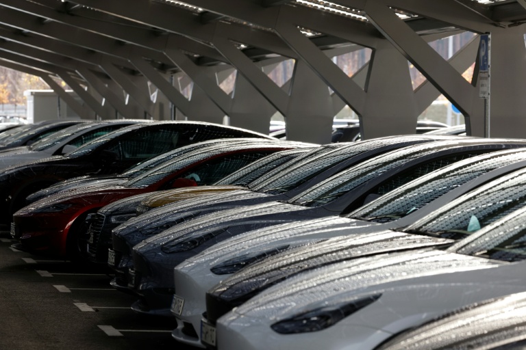 Tesla va créer 1.000 emplois d'ici fin juin dans son usine allemande