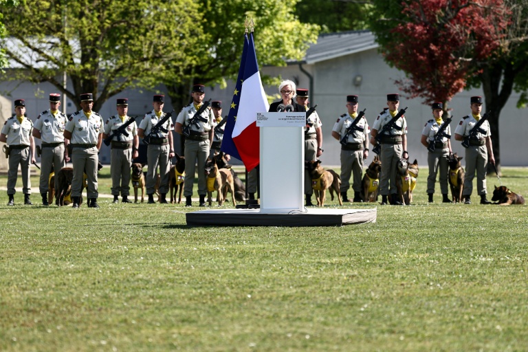 Marne: hommage national au sergent Anicet Girardin, mort après une embuscade au Liban