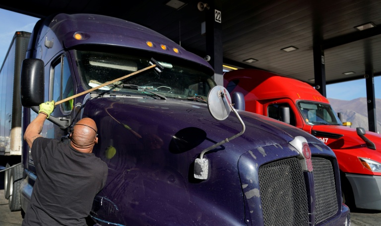 Recensement des insectes: les automobilistes au secours de la science