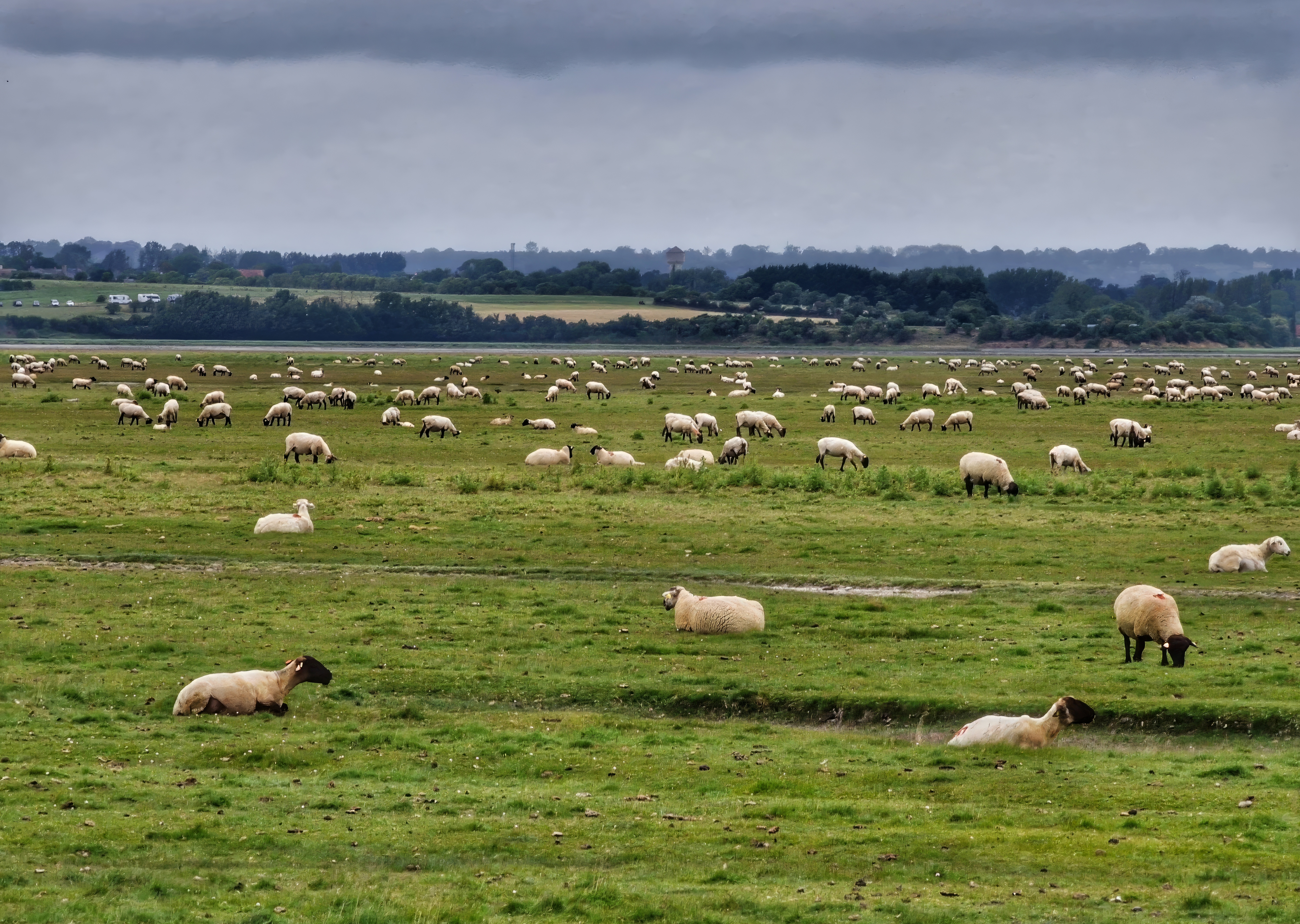 La Caisse d'Epargne Normandie lance un appel à projets pour la biodiversité