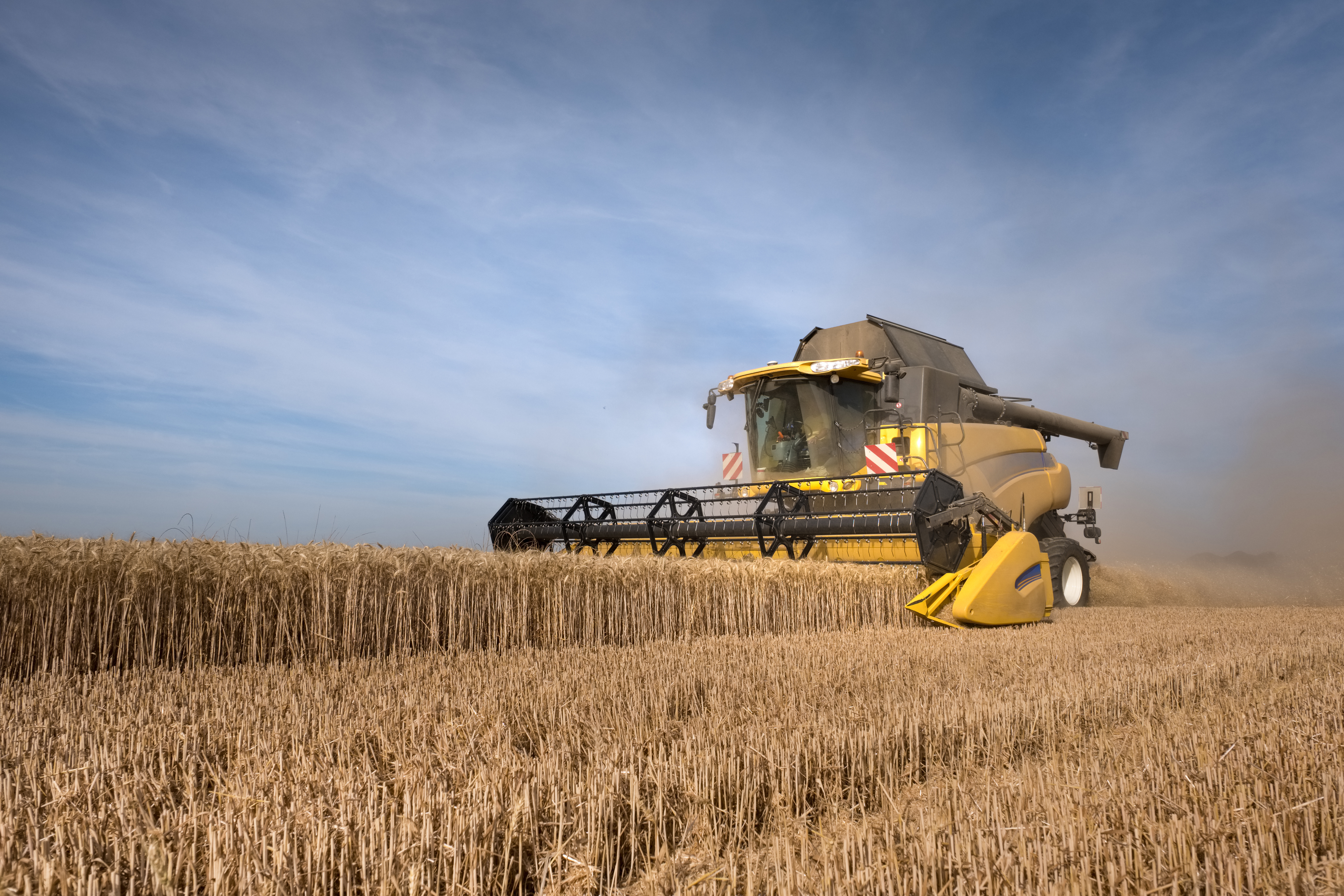 Vosges : un fonds d’urgence de 35 millions d’euros pour soutenir les exploitations céréalières fragilisées