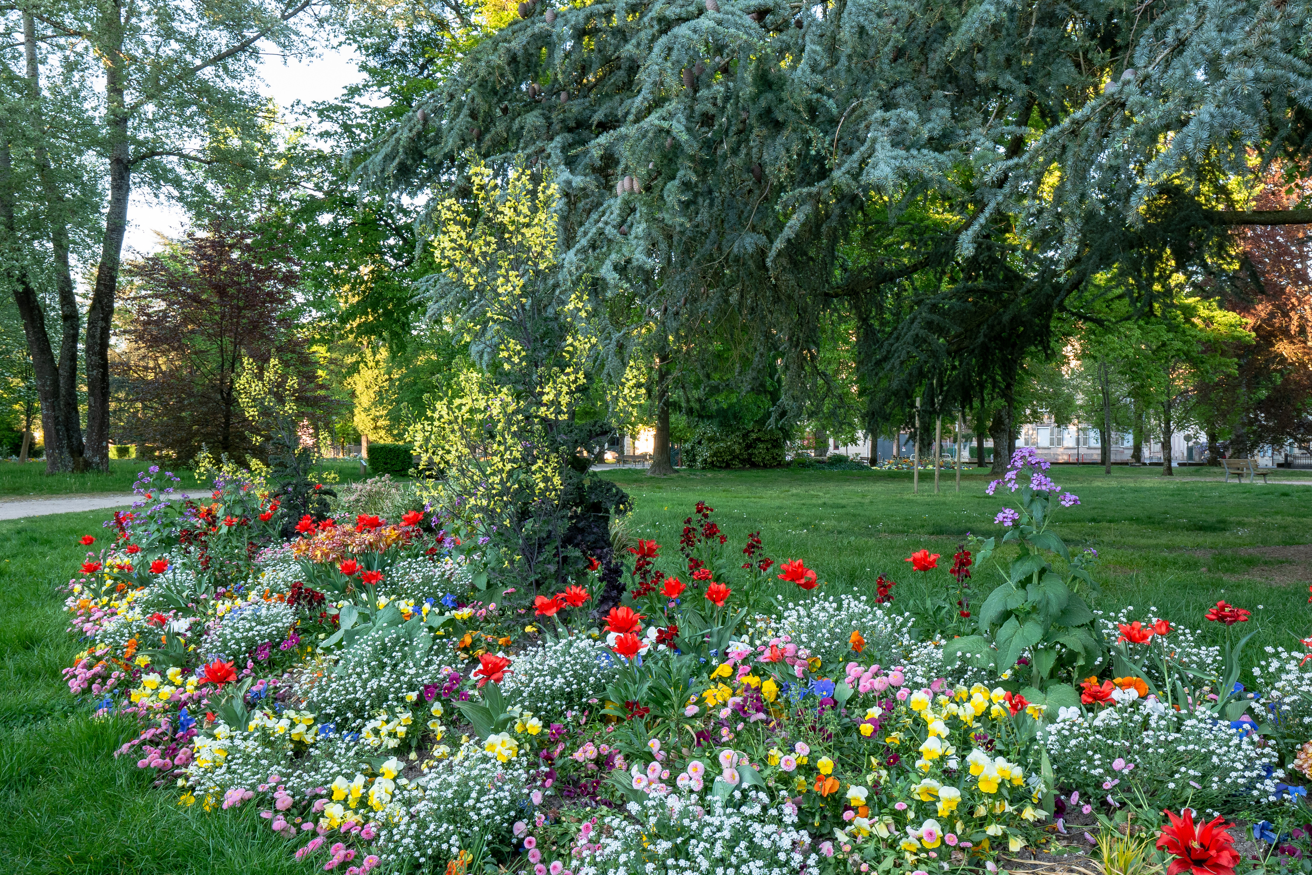 À Mâcon, les pratiques écologiques au cœur des espaces verts de demain