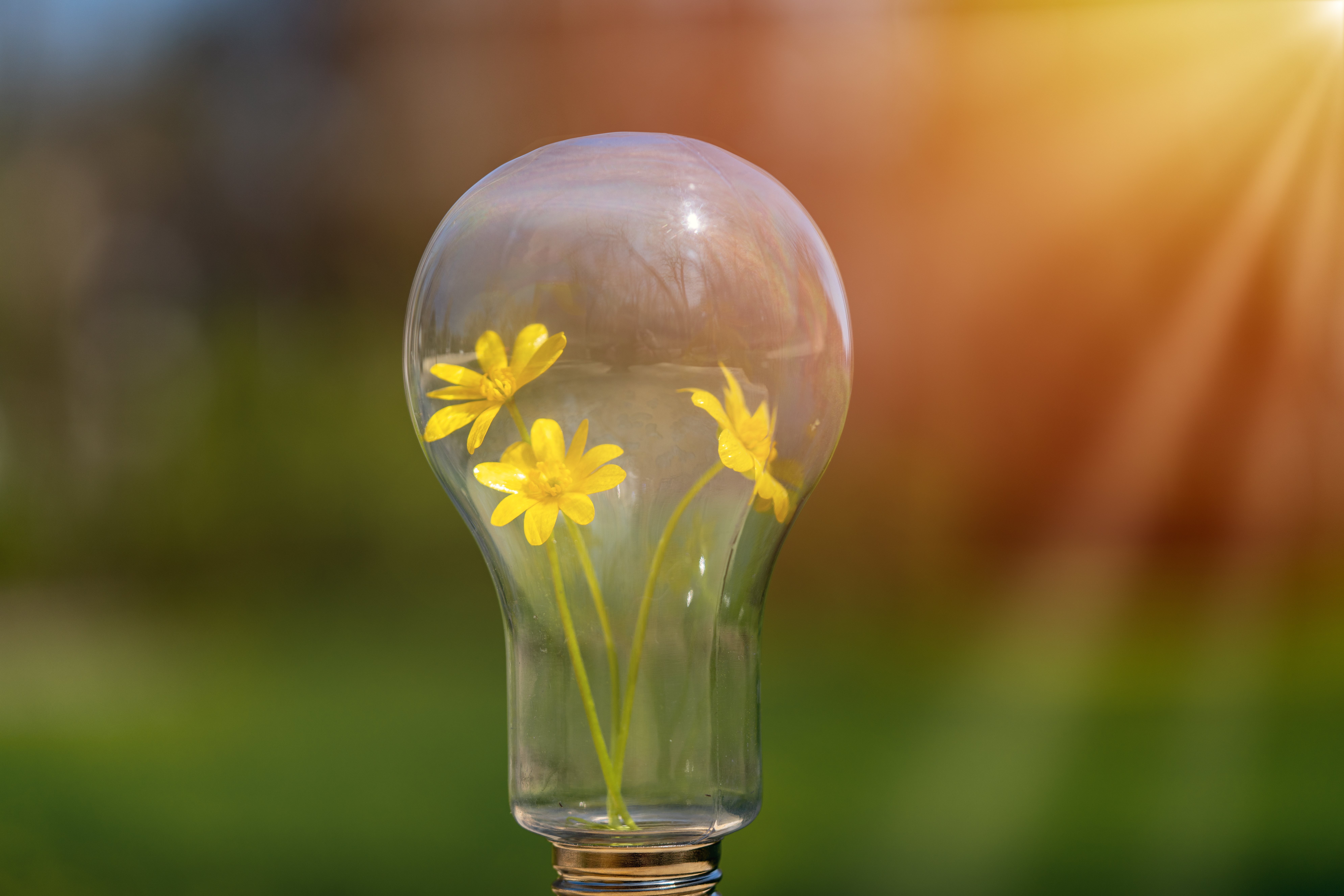 Amiens : Crystal Energy dans le top 100 des startups à suivre en 2026