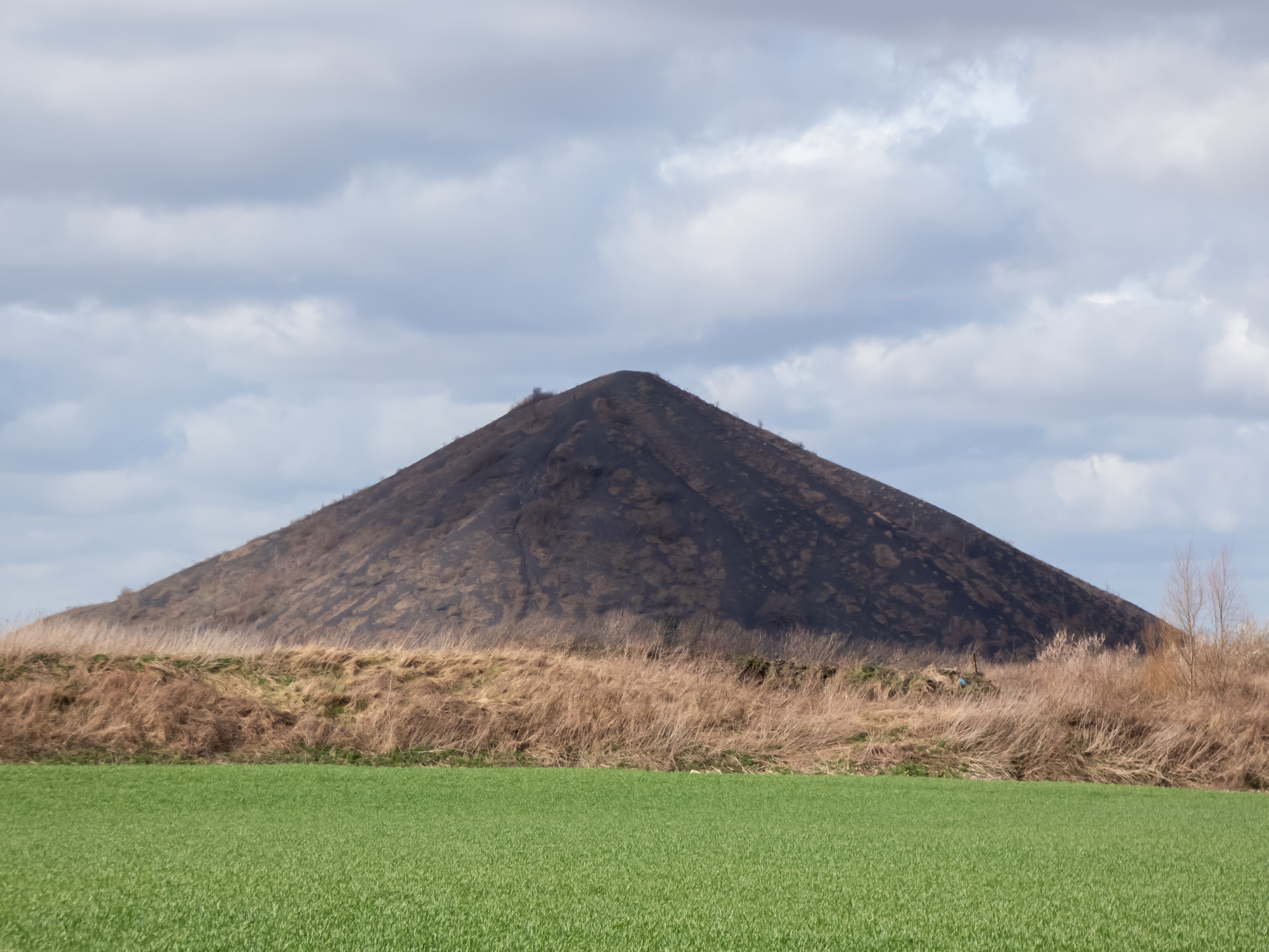 Hauts-de-France : la biodiversité à l’honneur du 8 mai au 14 juin