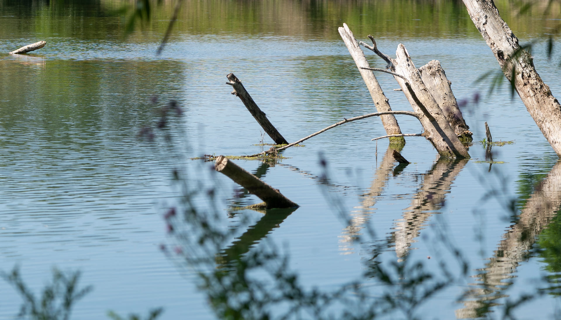 Un nouvel appel à projets pour valoriser la Moselle et ses affluents