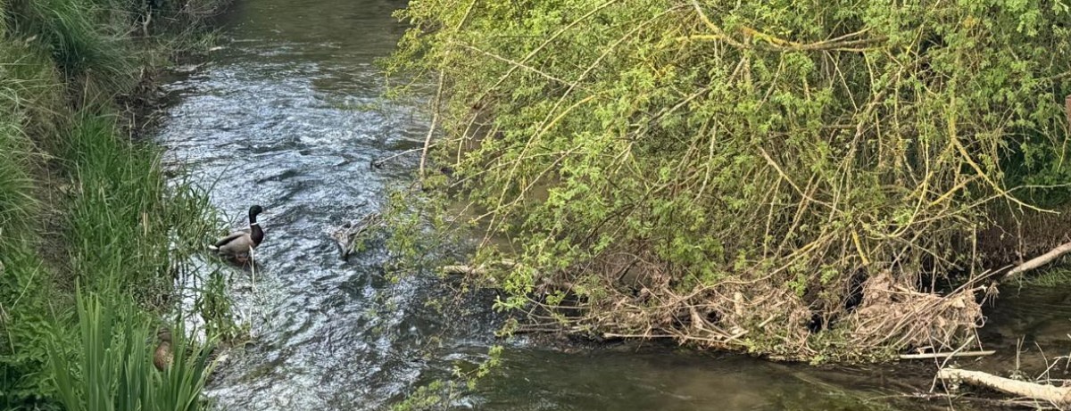 Meuse  le projet «Mad’in L’Eau Reine» distingué parmi les lauréats 2026 du Plan Eau de l’État