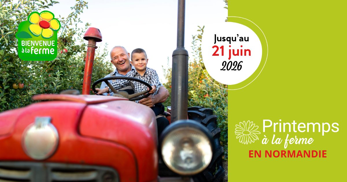Normandie : 75 animations à la ferme pour soutenir l’agritourisme et les revenus agricoles
