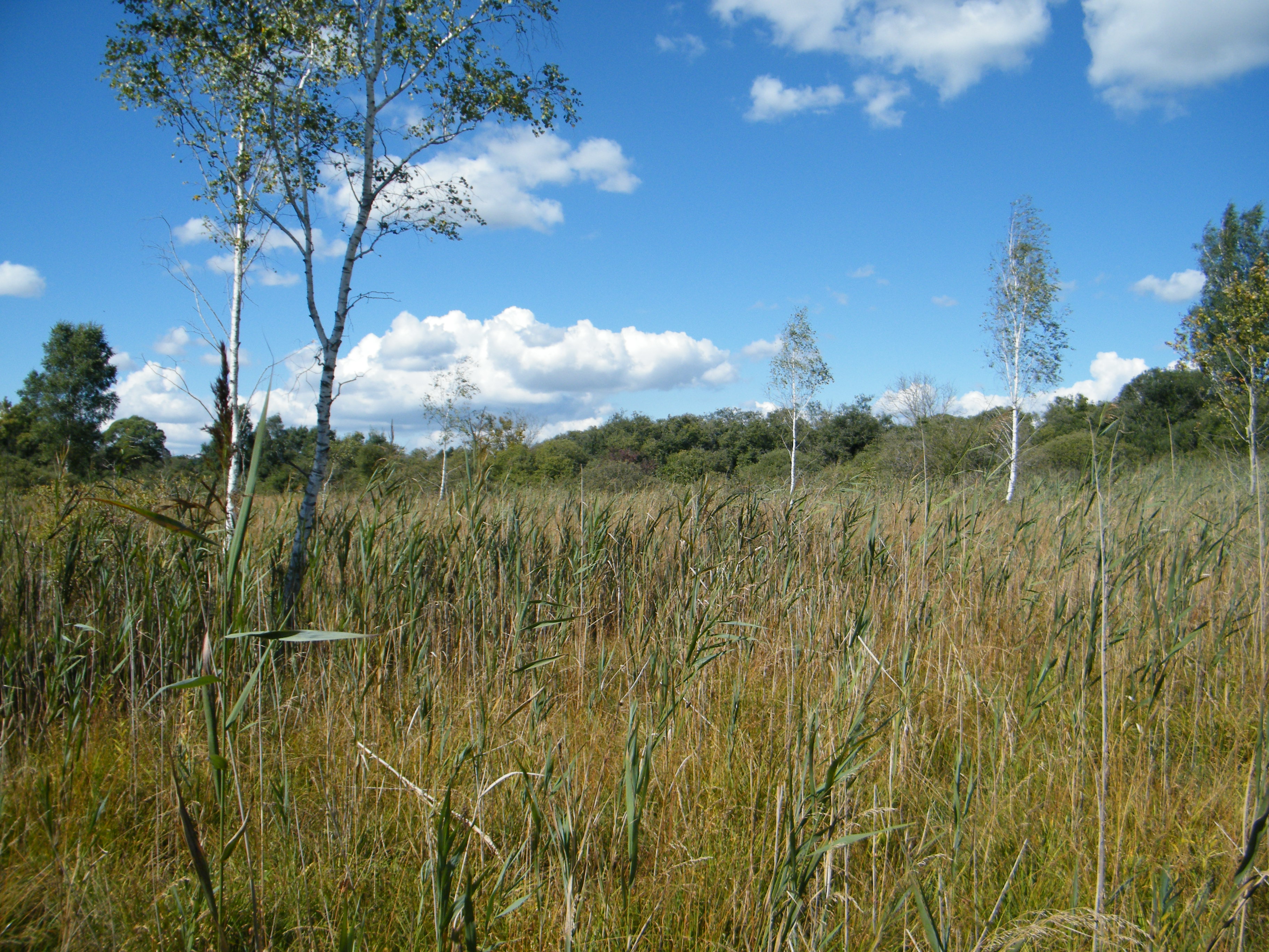 Meuse : la valorisation des espaces naturels au service de l’attractivité territoriale