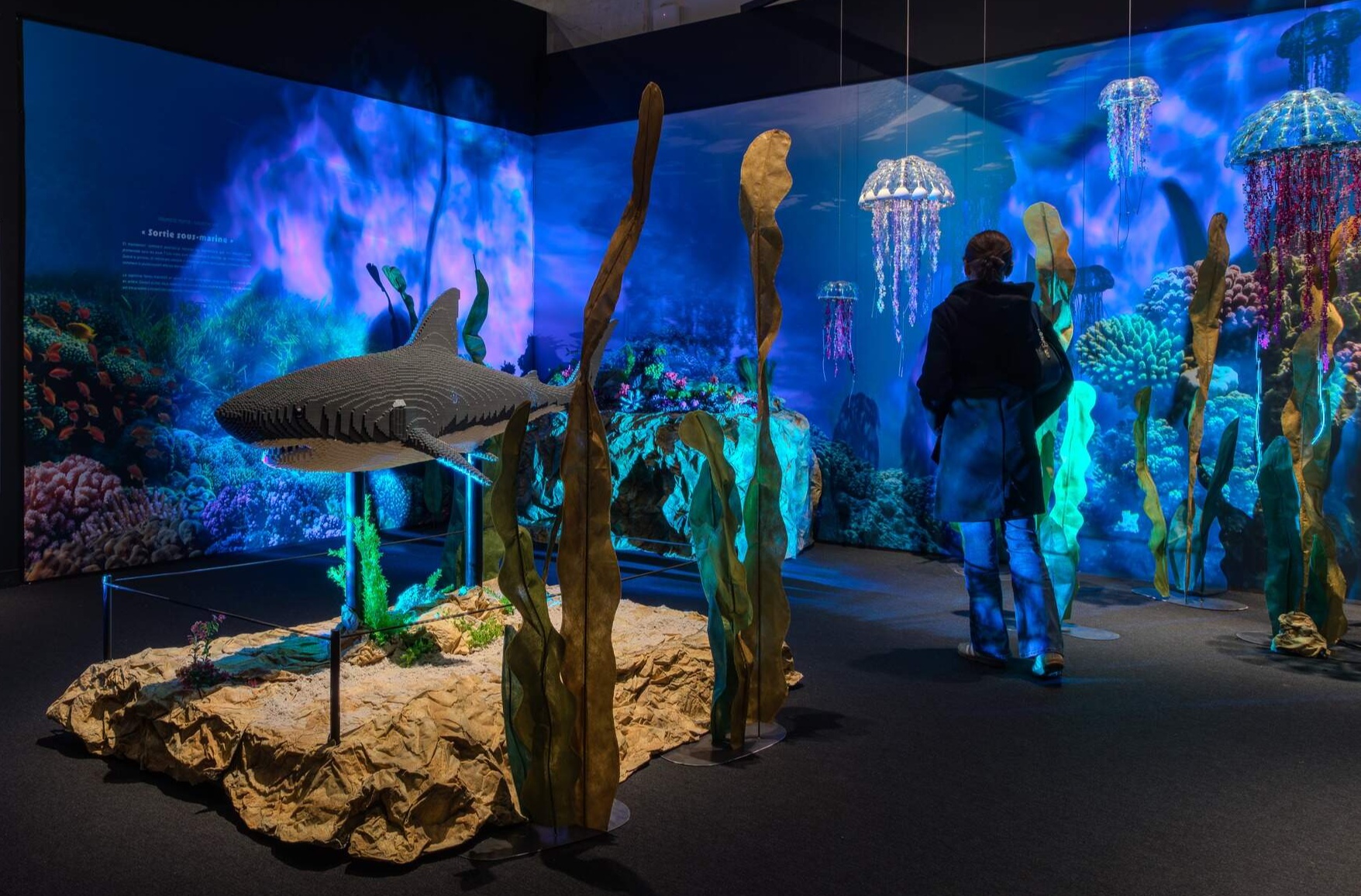 L'océan, de la baie de Somme aux mers de Jules Verne, en briques Lego