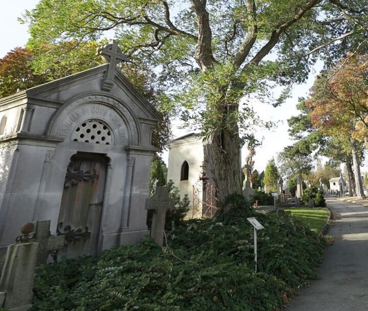 Le Havre : Les Rendez-vous du patrimoine, un outil d’attractivité pour la ville