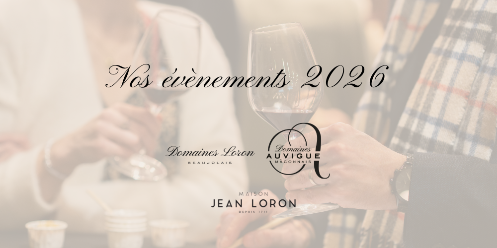 Des expériences renouvelées au cœur des vignobles du Beaujolais