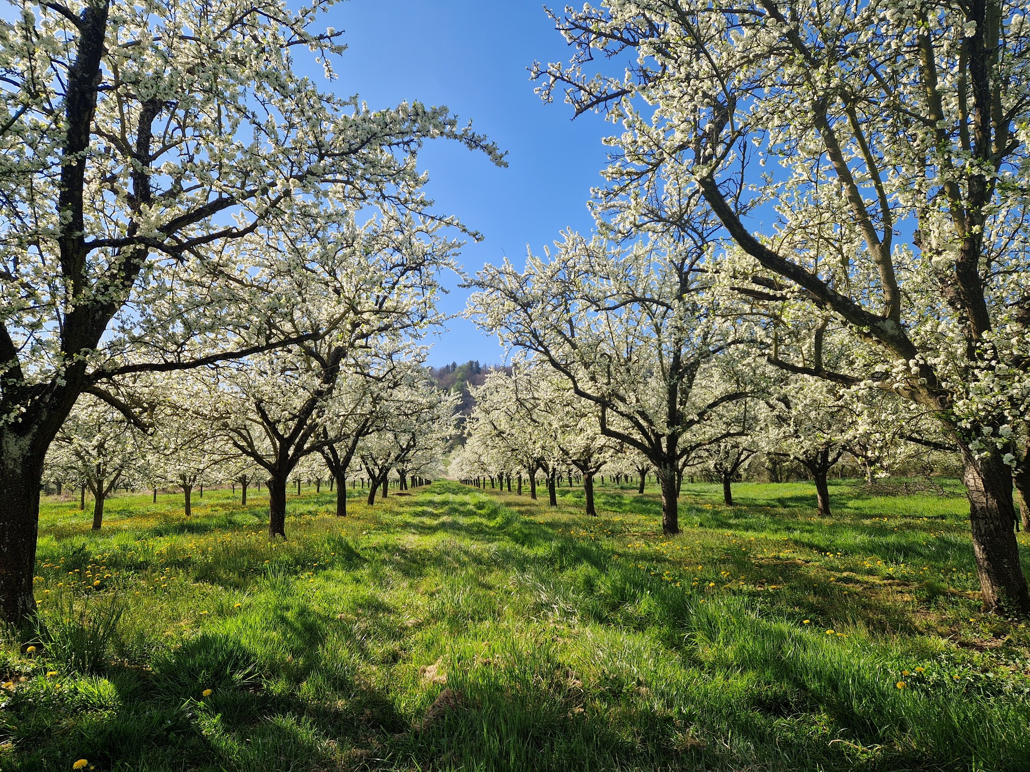 Le Domaine de Montgrignon distingué par le Guide du Routard