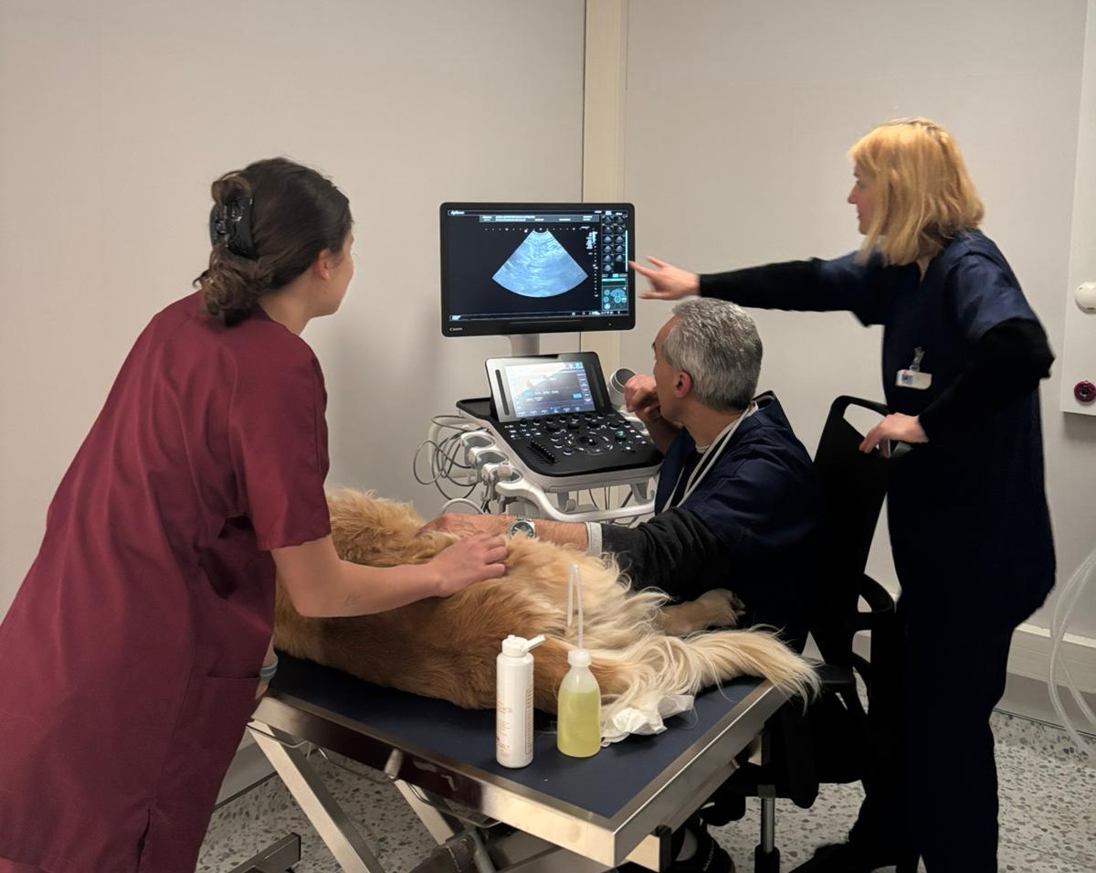 Mont-Saint-Aignan : UniLaSalle inaugure Indivisa, son centre hospitalier vétérinaire