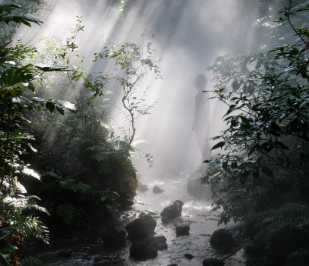 Normandie Impressionniste 2026 : un événement culturel à fort effet d’entraînement économique