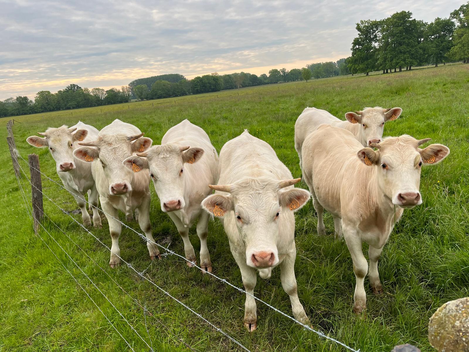 Amiens : une journée dédiée à l'élevage durable pour un nouveau modèle agricole