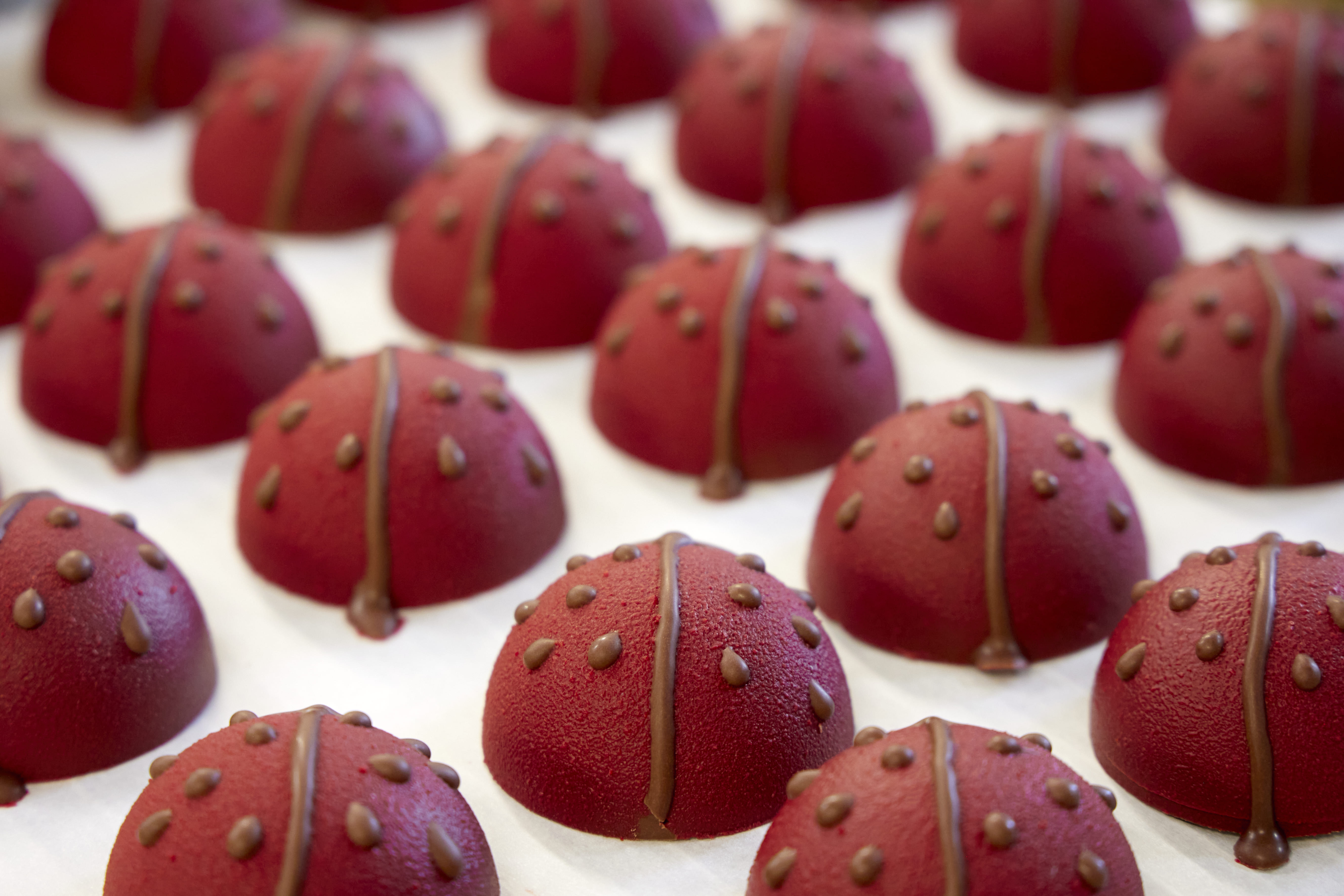 Beussent Lachelle, l’art du chocolat