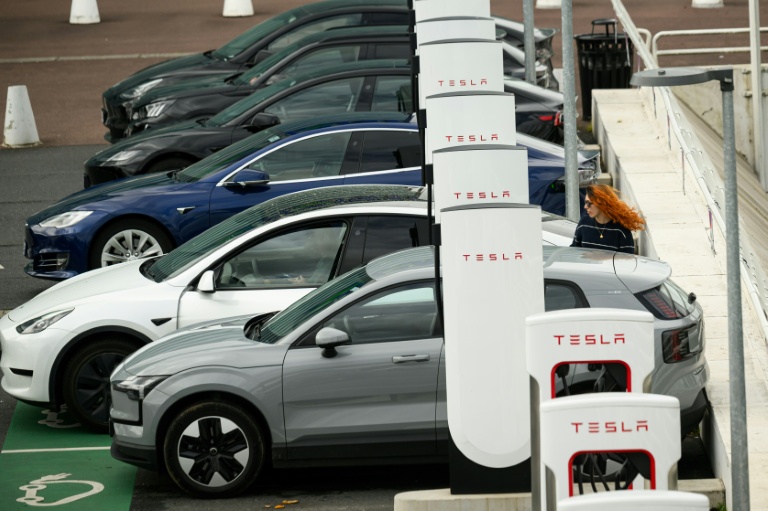 Les voitures électriques décollent en France, mais le marché automobile reste en berne
