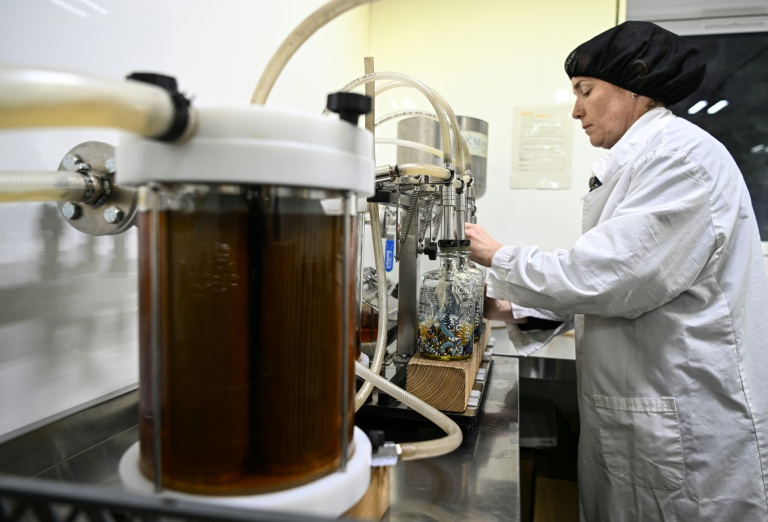 Les droits de douane lestent durablement les exportations britanniques vers les USA