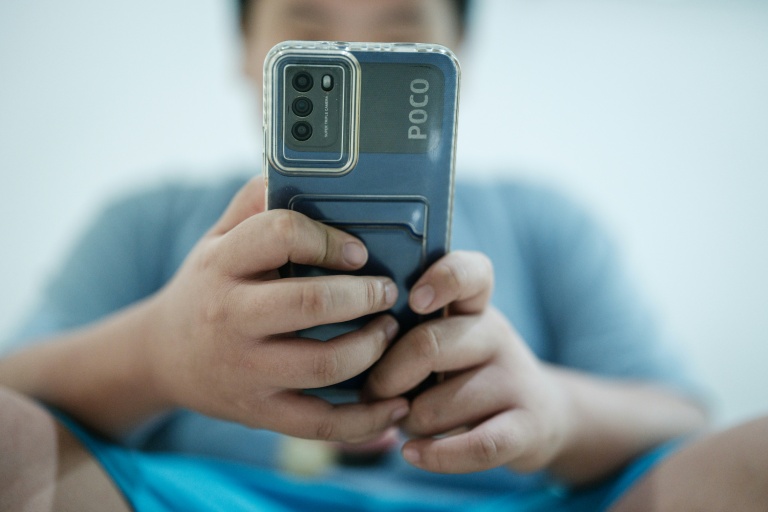 L'Indonésie veut interdire l'e-commerce aux enfants pour ne pas 