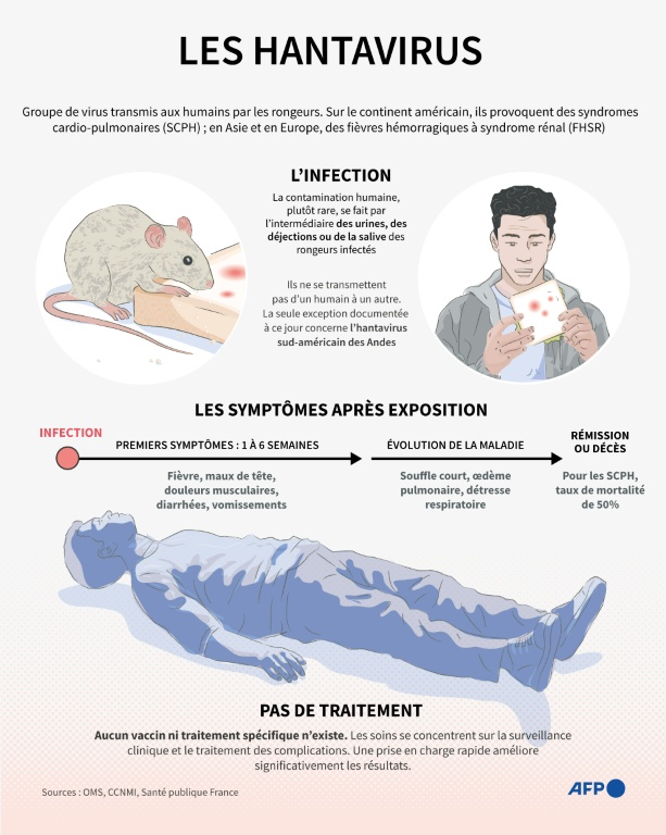 Hantavirus: le risque pour l'ensemble de la population est 