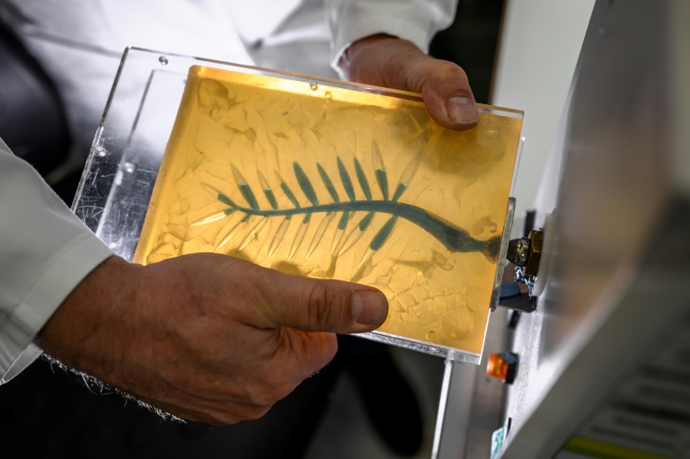 Cannes: dans les coulisses de la fabrication de la Palme d’or