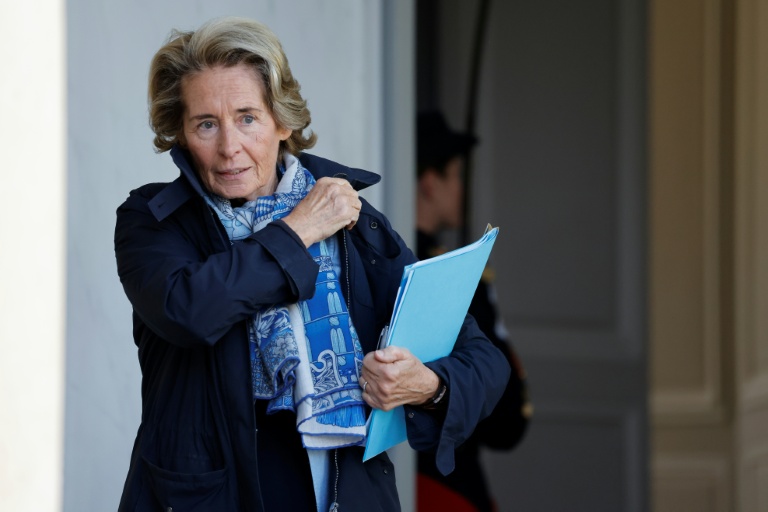 L'ex-ministre Caroline Cayeux condamnée pour fraude fiscale