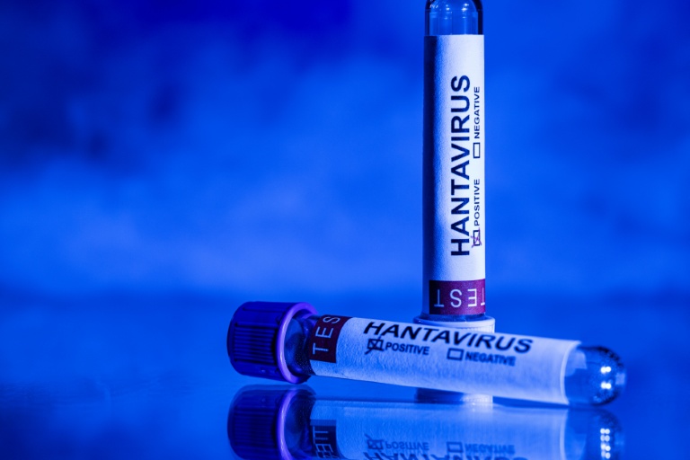 Hantavirus: beaucoup de questions avant le point de la ministre de la Santé