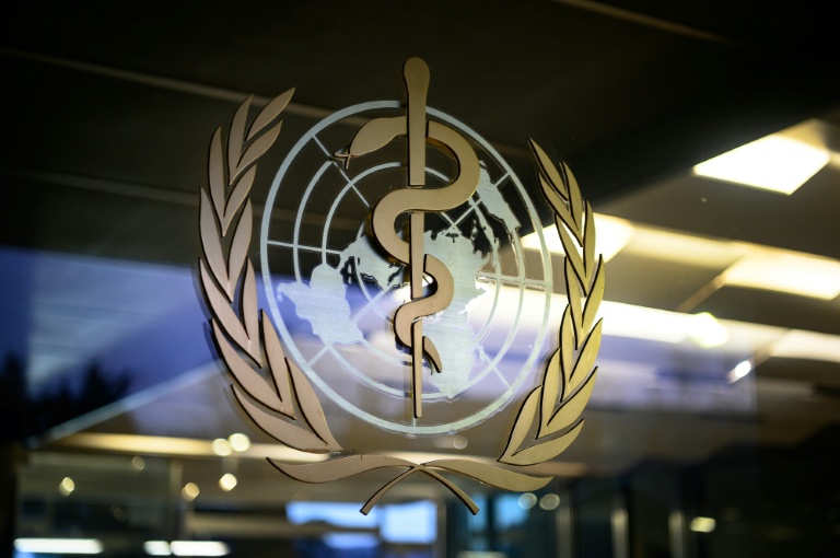 L'OMS ouvre son Assemblée annuelle sur fond d'hantavirus et d'Ebola