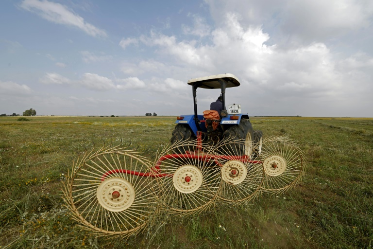 Au Maroc, une embellie agricole rattrapée par la guerre au Moyen-Orient