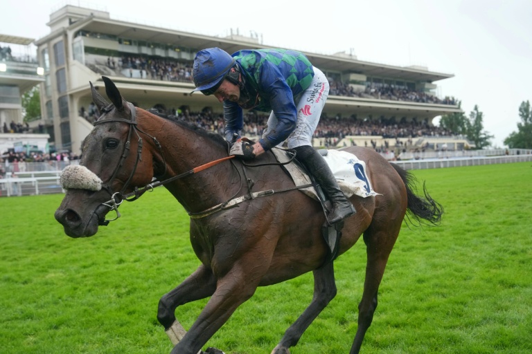 Le cheval pur sang Sel Jem remporte le Grand Steeple-Chase de Paris