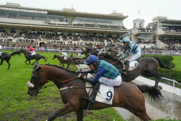 Le cheval pur sang Sel Jem remporte le Grand Steeple-Chase de Paris