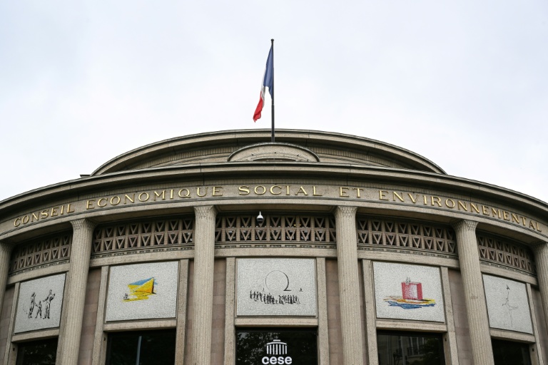Le Cese élit à sa tête une militante associative ou une entrepreneure
